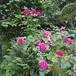 Appartement Paradiesgarten Am Saaleufer Bad Kissingen
