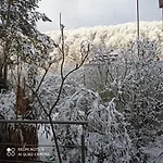 Paradiesgarten Am Saaleufer Bad Kissingen