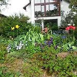 Paradiesgarten Am Saaleufer *