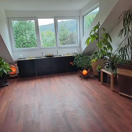 Paradiesgarten Am Saaleufer Apartamento