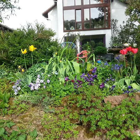 Paradiesgarten Am Saaleufer *